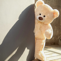 Nouveaux ours en peluche personnalisés super doux en coton PP avec accessoires brodés, jouets en peluche