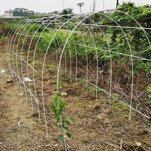 Support de montée de plantes Piquets en fibre de verre FRP pour arbre jardin tomate raisin - Product Image 5
