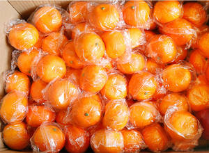 A-1057 Frutas Artificiales Realistas, Manzana Verde Naranja Vívida para Decoración del Hogar, Tienda de Frutas, Supermercado, Escritorio, Oficina, Restaurante - Product Image 4
