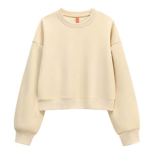 <b>Women's</b> High Quality Fashionable Casual Sporty Retro Heavyweight Pullover Hoodie New Autumn Style Solid Color Sweater - Product Image 3