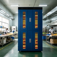 Fabrieksleverancier Fruitdroogmachine Duurzame Dehydrator Machine Voedseldehydrator RVS voor Fruitverwerking