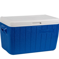 Glacière isotherme moderne 46L en PE pour pique-niques, pêche, fêtes en plein air et canettes - Maintien au froid 72H