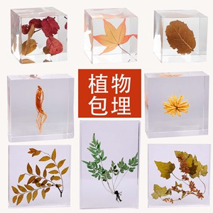 งานฝีมือศิลปะฝังต้นไม้ทำจากเรซิ่นรูปทรงเรขาคณิตของขวัญสำหรับตกแต่งบ้านตามสั่ง - Product Image 1