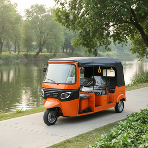 Triciclo Eléctrico Personalizado para Adultos con Carrocería Cerrada, Velocidad de 50-70 km/h y Autonomía de 70-90 km - Product Image 5