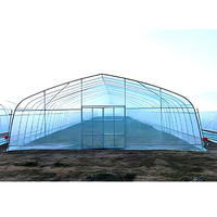 Serre tunnel en film plastique à portée unique pour la culture de fraises et de légumes