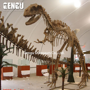 Estatua de fósil de dinosaurio de Metal para interiores, esqueleto de dinosaurio colgante para centros comerciales, aeropuertos, guarderías, escuelas - Product Image 2