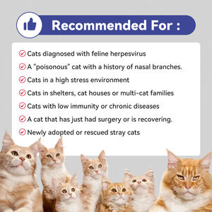 อาหารเสริมแอลไลซีนสำหรับแมวสำหรับจามน้ำมูกไหลเย็นภูมิคุ้มกันสนับสนุนการทำงานของตาและสุขภาพระบบทางเดินหายใจ - Product Image 4