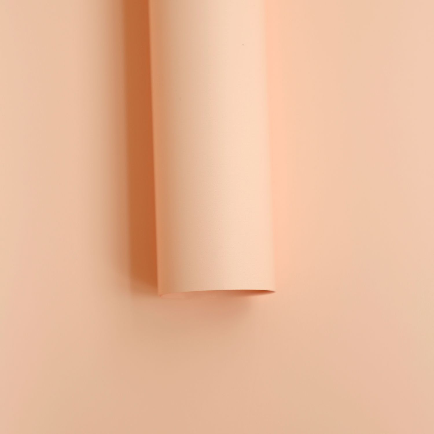 5-Corée rose