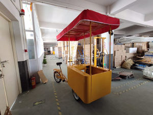Bon marché Prix 108L vente Tricycle congélateur à énergie <span class=keywords><strong>solaire</strong></span> vélo d'affaires chariot de <span class=keywords><strong>crème</strong></span> glacée vélo 12/24V congélateur de <span class=keywords><strong>crème</strong></span> glacée de Chine - Product Image 5