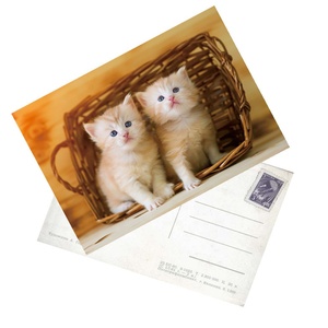 Carte postale 3D lenticulaire personnalisée, fabriquée dans une usine certifiée BSCI, faible MOQ, personnalisation, carte stéréoscopique à effet de changement de vue pour la promotion et les souvenirs - Product Image 3