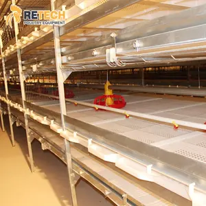 Best Sale Broiler Poultry Farm Shed H Type 50000 Birds Capacity Broiler Chicken Cage