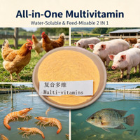 Prémélange multivitaminé général Heshun soluble dans l'eau 2:1, qualité alimentaire, favorisant la croissance et anti-stress pour volailles et porcs