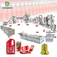Ligne de production de pâte de tomate et de ketchup
