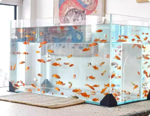 Pecera de Vidrio con Doble Partición para Gatos, Escena Dinámica de Entretenimiento Felino, Disfrute en la Sala de Estar o la Cama - Product Image 6