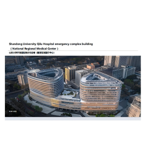 Solution Complète pour la Construction de Centres Médicaux Régionaux et d'Hôpitaux : Conception, Installation et Fabrication de Maisons Préfabriquées en Acier Chinois - Product Image 4