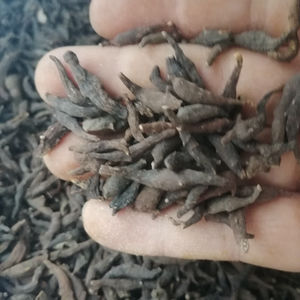 Erva chinesa natural <span class=keywords><strong>Anemone</strong></span> raddeana rizoma chinês medicinal Radde <span class=keywords><strong>Anemone</strong></span> Rhizoma para venda - Product Image 2