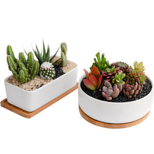 Vente flash : Jardinière géante moderne en céramique blanche émaillée avec soucoupe en <span class=keywords><strong>bambou</strong></span>, écologique, durable, rectangulaire, pour plantes succulentes, au sol - Product Image 6