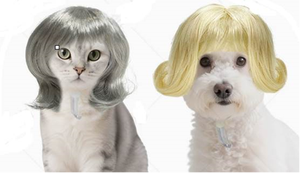 Perruque pour animaux de compagnie, fournitures pour chiens, accessoires pour animaux, cheveux bouclés, cheveux raides, perruque pour chat - Product Image 4