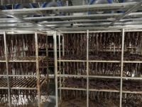 Commerciële machine voor het drogen van rundvlees, jerky, worst, vis, zeevruchten en groenten te koop. Professionele voedseldroger.