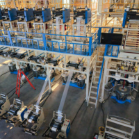 Machine à film soufflé PE monocouche à double tête, double sortie, deux rouleaux de film simultanément