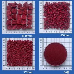 Approvisionnement en gros de betterave rouge lyophilisée en dés, prix de gros, cubes de betterave FD pour mélange de salades - Product Image 2