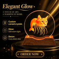 Veilleuse en cristal 3D gravée au laser avec base en plastique LED, décoration de chambre, cadeau