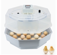 Incubateur d'œufs entièrement automatique homologué CE, incubateur de petite taille Jn5-60 pour 60 œufs, pour ferme, école, laboratoire