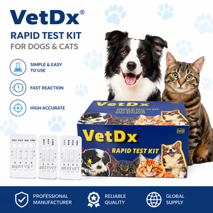 Kit de diagnóstico rápido <span class=keywords><strong>veterinario</strong></span> al por mayor para perros: EHR+ANA+CHW (4 en 1) para la detección de gusanos del corazón en clínicas veterinarias - Product Image 1