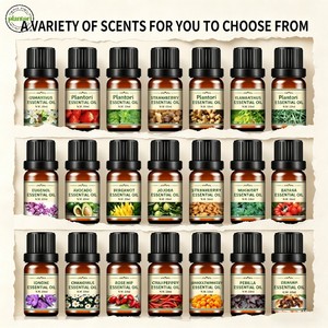 Olio <span class=keywords><strong>Essenziale</strong></span> di Eucalipto Puro al 100% per il <span class=keywords><strong>Benessere</strong></span>, Fragranza Fresca, per Tutti i Tipi di Pelle, Olio Vettore Biologico all'Ingrosso - Novità 2026 - Product Image 2