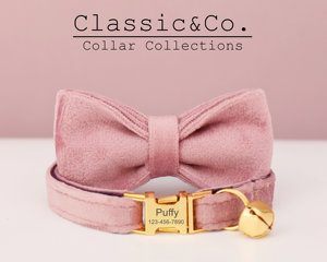 Ensemble collier et laisse personnalisés pour chat en velours rose poudré avec nœud papillon, étiquette nominative gravée sur mesure pour chaton ou chiot, clochette dorée offerte, pour petit chien femelle - Product Image 2