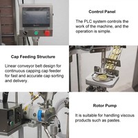 Machine de remplissage et de bouchage automatique HZPK à pompe rotative pour liquides et pâtes, idéale pour sauces, miel, confitures, crèmes, gels, en bouteilles, bocaux et pots en verre ou plastique