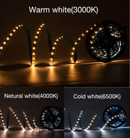 Bande LED numérique flexible adressable 5V rvb SMD 5050 IC intelligent WS2812B WS2812 SK6812 144 pixels pour la décoration de bâtiment