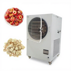Lyophilisateur automatique pour la transformation alimentaire de fraises et mangues - Product Image 4