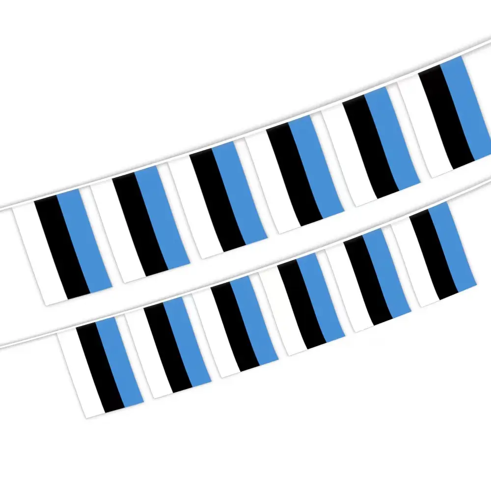Beste Qualität Digitaldruck Dreieck Schnur Lgbt Gay Pride Polyester Stoff Benutzer definierte Mini Hanging Banner Bunting Flagge