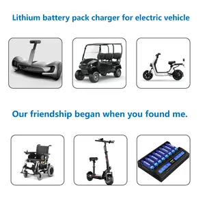 12V 12.6V 16.8V 24V 29.4V 36V 48V 60V 72V 96V 2A 2.5A 10A 30A 100Ah Phylion Lipo Li Ion Electric Scooter Bike Battery Charger