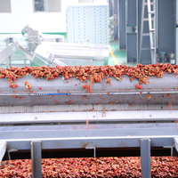 Machine de séchage de fruits à bande transporteuse continue, ligne de production de séchage de fruits séchés, goyave, prune, dattes