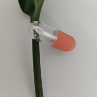 Vente en gros de tubes à gloss à lèvres personnalisables en rose, de 2 ml, 3 ml, 4 ml, 5 ml, mini-contenants cosmétiques en ABS