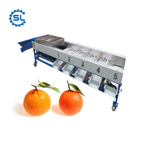 Hoogwaardige fruit sorteermachine speciaal voor appel, citrus, sinaasappel, citroen, automatische sorteermachine op basis van formaat