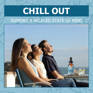 Factory Wholesale Herbal Supplements with Organic Lemon Balm Extract Liquid Drop for Adults to Support a Healthy Stress Response - Product Image 5