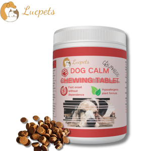 أقراص قابلة للمضغ لتهدئة مزاج الكلاب، مكملات غذائية لدعم المناعة للحيوانات الأليفة، مكملات صحية متميزة للكلاب - Product Image 1
