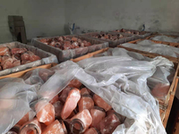 Vente en gros de lampes en sel de l'Himalaya de 1 à 2 kg, de 2 à 3 kg, de 3 à 5 kg, de 5 à 7 kg, lampes en sel de cristal rose naturel pour la guérison énergétique