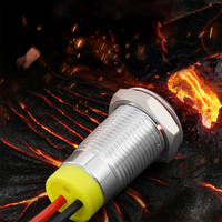 Interrupteur à bouton poussoir en métal de 6 mm, 8 mm, 10 mm, 12 mm avec LED, tête plate en acier inoxydable, retour automatique, bouton momentané éclairé