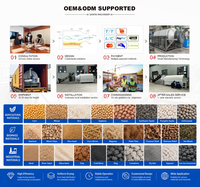 Séchoir à maïs direct usine, économe en énergie, 300 kg/h, séchoir rotatif à tambour discontinu pour riz et blé
