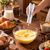 Mini mousseur à lait en acier inoxydable pour café, rechargeable par USB, 3 vitesses, 8000 tr/min, mousseur à lait électrique portatif