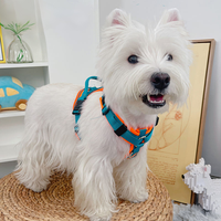 OEM/ODM Nouveau Harnais de Poitrine pour Chien Anti-Explosion Réfléchissant pour Chiot, Personnalisation de la Laisse de Transport pour Chien