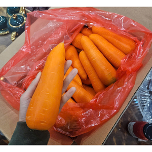 Carottes biologiques fraîches du Vietnam Livraison rapide avec emballage personnalisé Goût sucré Légumes en vrac en gros - Product Image 2