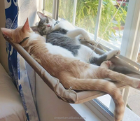 Hamac pour animaux de compagnie à ventouse pour fenêtre, lit surélevé pour chat universel toutes saisons, pliable, perchoir pour chat pour fenêtre intérieure