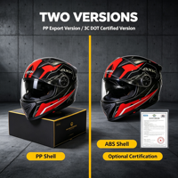 Casque intégral de moto, coque ABS, double visière, design Predator, nouveau, imperméable, pour la conduite hivernale, homologué DOT, toutes saisons
