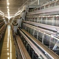 Nouvelle Boîte de Nidification Automatique pour Poulets, Équipement d'Élevage Avicole, Cage à Batterie pour Poules Pondeuses en Acier Galvanisé Certifiée CE Type A