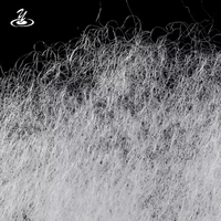 SUGENRO Certifié OEKO-TEX Fibre de polyester creuse vierge 100% Dupont Sorona GRS, rembourrage HCS recyclé biologique, ignifuge